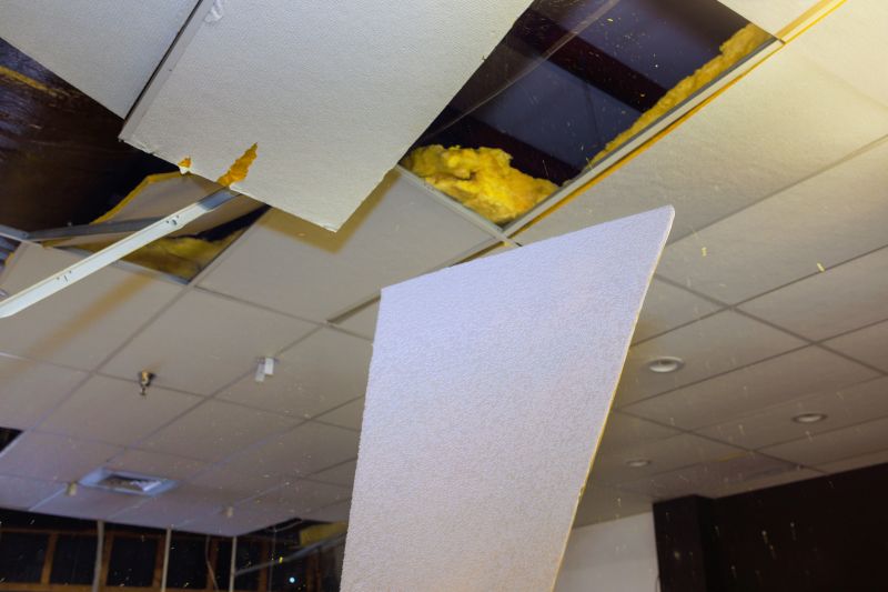 Cost of Ceiling Demolition Service in Sequim, WA